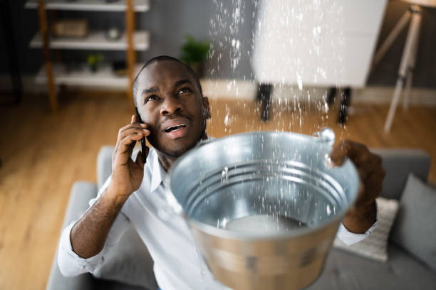 Best Residential water damage restoration  in Randleman, NC