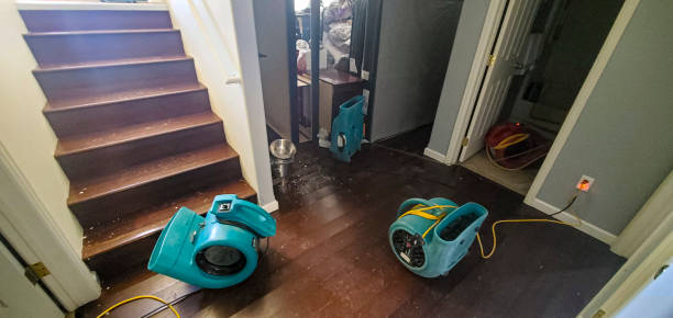 Best Professional water damage repair  in Randleman, NC