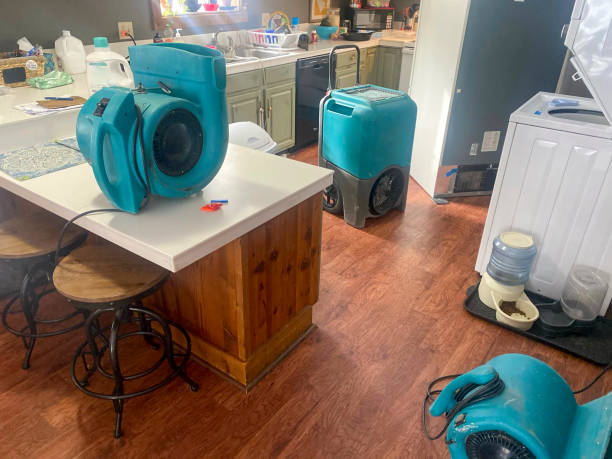 Best Mold removal after water damage  in Randleman, NC