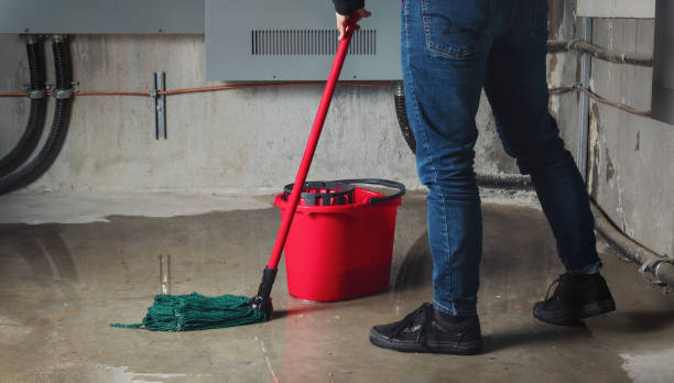Best Local water damage restoration  in Randleman, NC