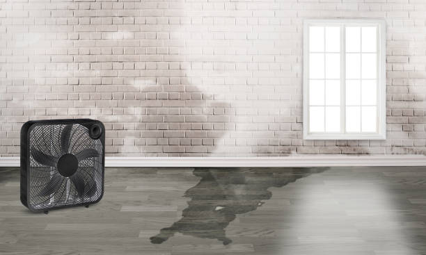 Best 24/7 water damage repair  in Randleman, NC