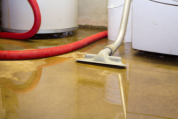 Best Fire Damage Restoration  in Randleman, NC