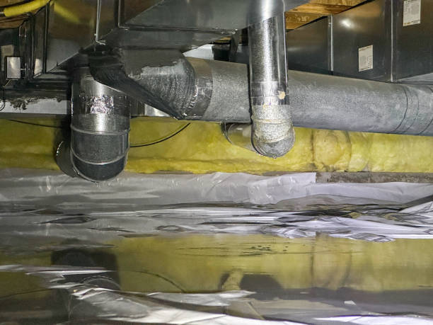 Best Sewage cleanup and water damage restoration  in Randleman, NC