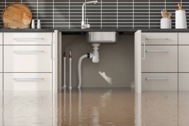 Best Commercial water damage restoration  in Randleman, NC