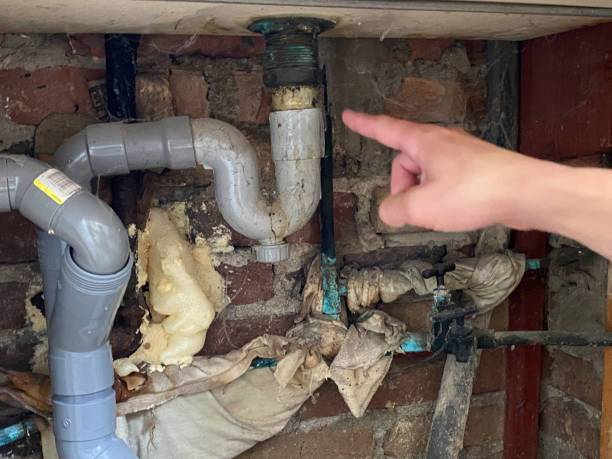 Best Emergency water extraction  in Randleman, NC