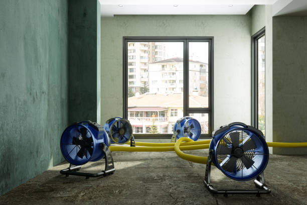 Trusted Randleman, NC Water damage restoration Experts